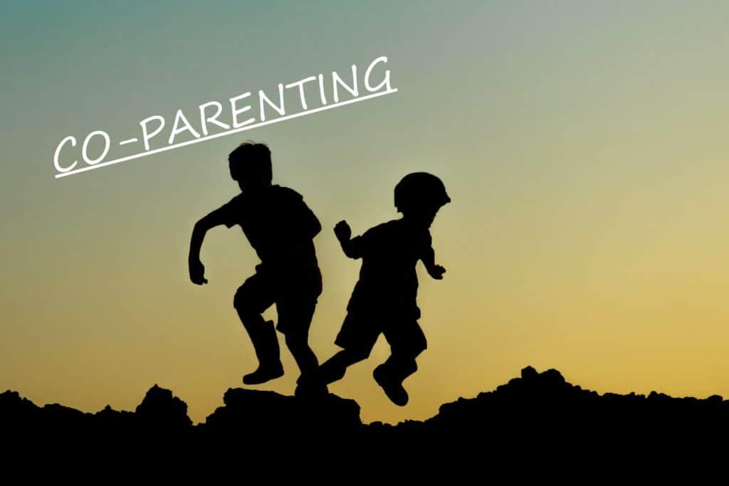 Co-Parenting